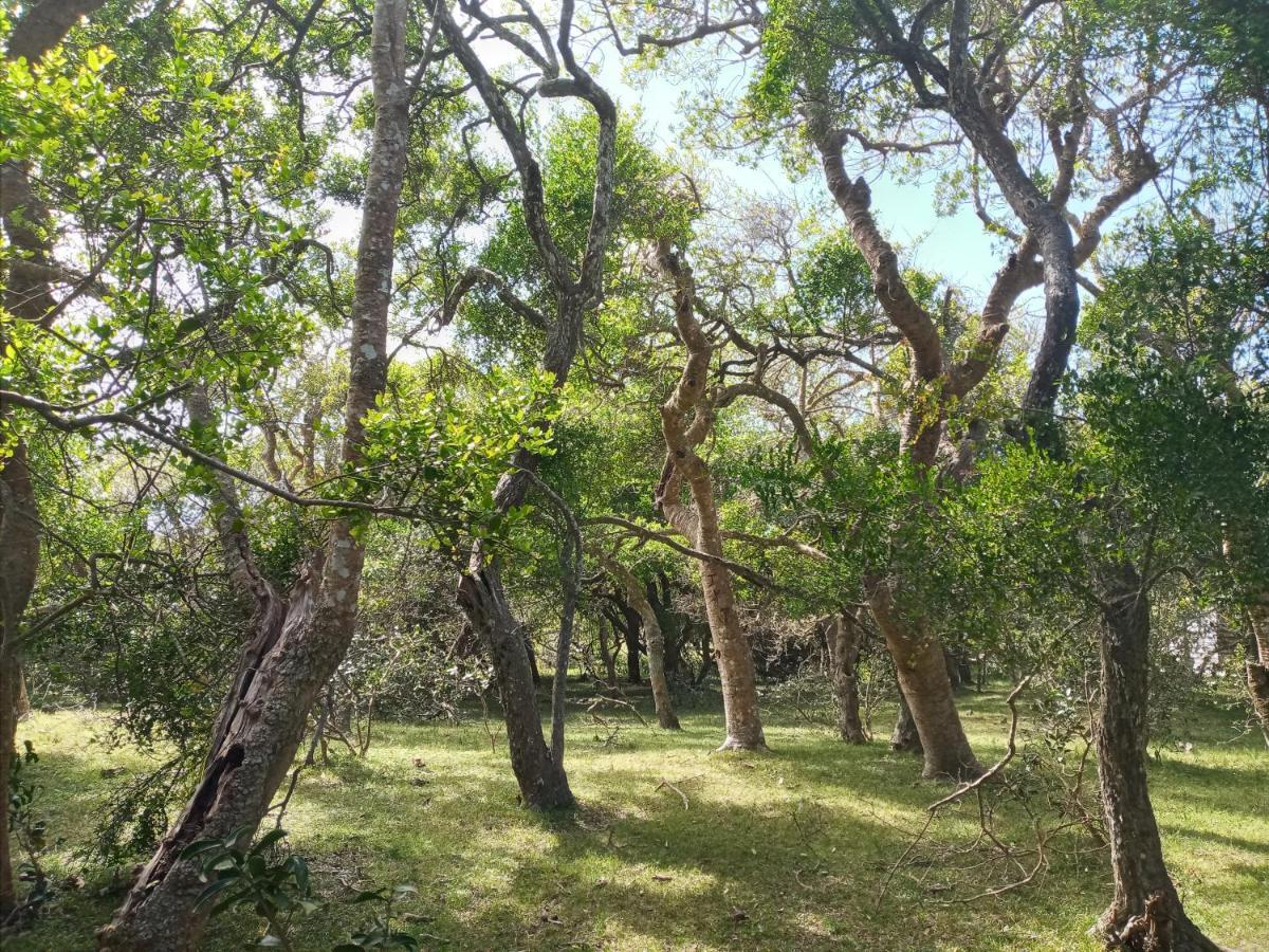 Casa De Campo Cerca Del Cabo Villa Rincón de los Oliveras Kültér fotó